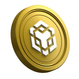 BNB Binance cryptocurrency coin featured on a new trader guide page